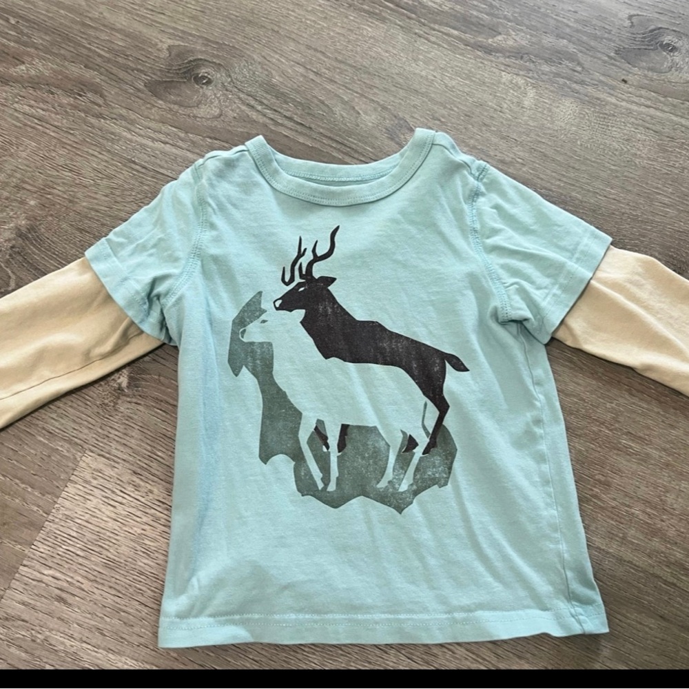 Tea collection boys shirt